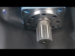 Motor hidráulico BMK10