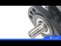 BMER-2-300-FH-SW Motor hidráulico de baja velocidad de alto par con desplazamiento de 18,08 pulgadas cúbicas